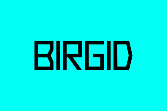Birgid: The Geometric Display Font for Modern Design