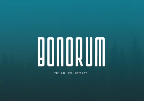 Bonorum: The Minimalist Display Font for Creative Freedom