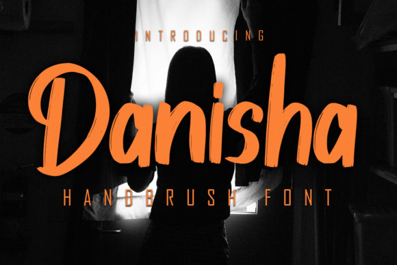 Evaluating Danisha for Your Next Design Project